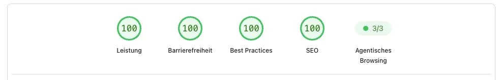 Screenshot von PageSpeed Insights fokusfalter.ch 4x100