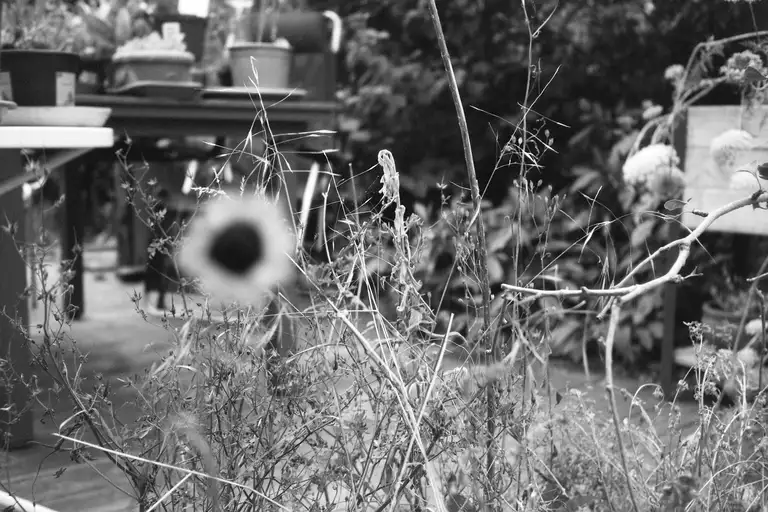 Das mit dem Abstand haut nicht immer hin. Foto Oliver Marugg